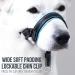 Goodboy Dog Halter with Seat Belt | Prevents Pulling | Padded for Small Medium & Large Dogs | Size 3 Blue & Black Nylon | Includes Training Instructions - Buy Online on GoSupps.com