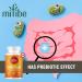 mifibe Psyllium Husk Fibre Capsules | 300 Pills | 2625mg Per Serving | Natural Laxative for Constipation Relief | Soluble Fibre - Buy Online on GoSupps.com
