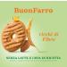  Italian Gourmet E.R. Mulino Bianco BuonFarro Pack of 6 shortcrust pastry biscuits with wholemeal spelt flour almonds and honey 270g + gourmet Italian polpa 400g - Buy Online on GoSupps.com