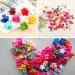 100 Mini Hair Clips - Colorful Pearl Floral Hair Grippers for Girls & Women | Betterjonny - Buy Online on GoSupps.com