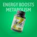 Dr. Zisman ZINERGY - All-Natural Energy & Performance Booster for Men & Women | Premium 60 Capsules - Buy Online on GoSupps.com