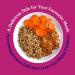 BEN'S ORIGINAL BISTRO EXPRESS Long Grain & Wild Rice Mushroom Flavour Side Dish 250g Pouch Long Grain & Wild Rice Mushroom 1 - Buy Online on GoSupps.com
