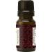 Wicked Witch Mojo Oil - Wakin The Dead | International Shipping | Enhance Your Rituals - Buy Online on GoSupps.com