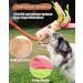 SCHITEC Dog Tug Toy - Interactive Bungee Rope Toy with Squeaky Sound for Small, Medium, Large Dogs - Buy Online on GoSupps.com