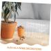 Mikinona 1 Set Nail Display Board Nail Organizer Durable Nail Tips Holder Nail Tips Display Holder Nail Charm Storage Nail Art Display Board Hangers Acrylic Storage Rack Modeling - Buy Online on GoSupps.com