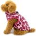 Shop Smalllee Lucky Store Waterproof Dog Jacket & Coat for Small Dogs & Cats - Magenta Winter Wear for Chihuahua Shih Tzu Mini Size (Chest: 36cm Back: 27cm) - International Shipping Available - Buy Online on GoSupps.com