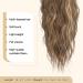 FESHFEN Ponytail Extensions Drawstring Ponytails Hair Extension Light Brown & Blonde Long Curly Wavy Hair Piece Synthetic Pony Tail Hairpieces for Women 18 inch 18 Inch Light Brown & Blonde - Buy Online on GoSupps.com