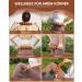 Wooden Fascia Roll Massage Device - Anti-Cellulite Stylist Stick & Roller for Maderotherapy & Lymphatic Drainage | Beech Wood - Buy Online on GoSupps.com