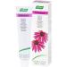 Buy A.Vogel Echinacea Toothpaste 100g - Natural Herbal Oral Care for Immune Support | International Shipping Available - Buy Online on GoSupps.com