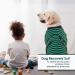 Kuoser Dog Recovery Suit for Male & Female Dogs - Breathable Post-Surgery Body Leakage Protection & Anti-Licking - Green Striped (1 Pack) - Buy Online on GoSupps.com