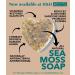 Sea Moss Soap - Spiced so'Nice (Turmeric + Cinnamon) Organic | Vegan | Handcrafted | Eco-friendly | UK Tested) - Buy Online on GoSupps.com