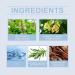 natural fresh and long-lasting fragrance releases men's charm. Men's charm perfume. Men's perfume. Temperamental dating atmosphere perfume. - Buy Online on GoSupps.com