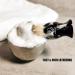Echolly 3pcs Shaving Brush Set with Stainless Steel Stand and Bowl - Traditional Wet Shaving Kit for Men - Best Shaving Gift - Buy Online on GoSupps.com