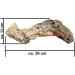 Hole Rock Aquarium Decoration - Lake Malawi S-Shape 39x13x17 cm Beige | International Shipping Available - Buy Online on GoSupps.com