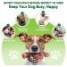 Indestructible Dog Chew Toys for Aggressive Chewers Large Breed Dog Toys for Boredom and Stimulating Nylon Dog Bones for Aggressive Chewers - Buy Online on GoSupps.com