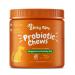 Zesty Paws Probiotic Chews for Dogs - Gut Flora & Immune System Support - Premium DE111 Bacillus subtilis - Pumpkin Flavour - 90 Count Pumpkin 90 Count