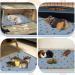 Pick for Life 2-Piece Pipi Pads - Super Absorbent Washable Pee Pads for Guinea Pigs Hamsters Rabbits & Dogs (90x100cm) - Buy Online on GoSupps.com