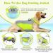 Hjyokuso Cool Vest for Dogs | Summer Cooling Jacket for Small Medium & Large Dogs | Ideal for Outdoor Activities & Training - Buy Online on GoSupps.com