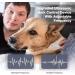 JHMYAR Anti Barking Dog Anti Barking Device for Dogs with Variable Frequency Effectively Anti Barking Dog Long Reach Indoor Outdoor Repels Ultrasonic Dogs Pet Gentle Corrector - Buy Online on GoSupps.com