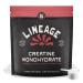Lineage Provisions Micronized Creatine Monohydrate with Sea Salt - Micronized Creatine Powder for Training & Performance No Artificial Ingredients 90 Servings