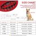 Unique Style Paws Adjustable Checkered Dog Collar - Soft & Comfortable Red Plaid Gift for Small to Medium Dogs - Buy Online on GoSupps.com