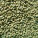 Organic Guatemala Antigua Green Coffee Beans - Specialty Grade 1 Arabica - 5 LB - Buy Online on GoSupps.com