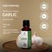 Garlic Oil (Allium Sativum) - 100% Pure Natural Uncut Therapeutic Grade Essential Oil | 3.38 Fl.Oz (100ml) for Wellness & Health Benefits - Buy Online Worldwide - Buy Online on GoSupps.com
