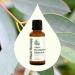 Plant Therapy Organic Eucalyptus Globulus Essential Oils 30 mL (1 oz) 100% Pure USDA Certified Organic Undiluted Natural Aromatherapy for Respiratory Support & Focus 1 Fl Oz (Pack of 1) - Buy Online on GoSupps.com
