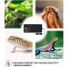 iPower Reptile Heat Mat + Hygrometer - Terrarium Heating Pad & Digital Thermostat for Amphibians & Reptiles - Buy Online on GoSupps.com