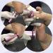 Electric Foot File Electric Callus Remover for Feet Rechargeable Foot Sander for Hard Skin Adjustable Speed with 60 Sandpaper Discs and 1 Cleaning Brush - Buy Online on GoSupps.com