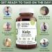 Natural Nutra Kelp Iodine Supplement 225mcg - 250 Tablets - Thyroid Support & Metabolism Regulator - Buy Online on GoSupps.com