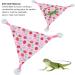 Alvinlite 2 Packs Bearded Dragon Hammock Pink Strawberry Pattern Reptile Hammock Lizard Hammock Bearded Dragon Climbing Accessories for Tank(30 x 30 x 30CM) Pink Strawberry 30*30*30cm - Buy Online on GoSupps.com