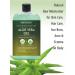 Organic Aloe Vera Gel with Tea Tree Oil - 16.9 fl oz | 500 ml - Natural Moisturizer for Skin, Hair Care, Sunburn, Acne & Eczema - Buy Online on GoSupps.com