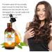 Pumpkin Seed Oil Organic Pumpkin Oil for Hair Growth Pure Cold Pressed Hair Oil Nourish Dry Damaged Hair and Hydrate Skin Pumpkin Essential Oil for Face Skincare Hair Loss Treatment 60mL - Buy Online on GoSupps.com