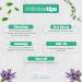 Divina F rmula 100% Pure Essential Oils Kit | Vegan & Cruelty-Free Aromatherapy Oils for Massage Bath Diffusers | Lavandin 3x10ml - International Shipping Available - Buy Online on GoSupps.com