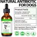 JSBNQRMZ Natural Antibiotics for Dogs Dog Antibiotics Drops Dog Itch Relief Pet Antibiotics-Supports Dog Allergy Relief Anti-Bacterial Effect Dog Multivitamin (60ML) - Buy Online on GoSupps.com