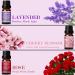 SALKING Floral Essential Oils Set | Premium Natural Scented Oils for Diffusers - Lavender Rose Jasmine & More | 6 x 10 ML - Buy Online on GoSupps.com