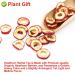 Buy Dried Hawthorn Berries (Shaanzha) - 80g Plant Gift for Health Tea | International Shipping - Buy Online on GoSupps.com