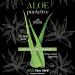 Monte Natura Srl MONTENATURA Aloe PurActive 500 ml 100 Aloe Vera unpasteurized pure drink - Buy Online on GoSupps.com