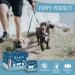 Butcher's Puppy Perfect Dog Food Trays 3.6 kg (24 x 150 g) | Premium Nutrition for Puppies - Buy Online on GoSupps.com