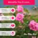 Premium Rose Essential Oil for Skin | Rose Valley Land - Ideal for Perfume & Soap Making 1 mL Bottle - Buy Online on GoSupps.com