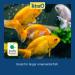 Tetra Baby Shrimp 0.35 oz - Premium Quality, Nutrient-Rich Food for Fish - Pack of 1 - Buy Online on GoSupps.com