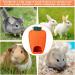 Rabbit Hay Feeder Guinea Pig Hay Bag Hanging Feeder 600D Oxford Cloth Fabric for Small Hay-Eating Pets Rabbits Guinea Pig Chinchilla Small Animals (Orange) - Buy Online on GoSupps.com