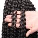 XTrend 7 Packs Passion Twist Hair - 12 Crochet Bohemian Curl Synthetic Braids - 18 Strands/Package 2# - International Shipping Available - Buy Online on GoSupps.com