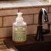 Lehman's Castile Foaming Hand Soap - All-Natural Mild & Moisturizing Essential Oil Scented (Lemongrass) | 16 fl oz - Shop Internationally - Buy Online on GoSupps.com