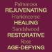 Plant Therapy Anti Age Body Oil - 4 oz | Locks in Moisture Reduces Fine Lines | Frankincense Sandalwood & Rose Oils - Buy Online on GoSupps.com