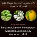 Luxury Hotel Scents Oil Set - CEROD Diffuser Oils for Home & Office | Aromatherapy Collection - My Way 24K Magic Black Velvet - Buy Online on GoSupps.com