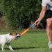 Buy Bull Fit Dog Toy - 30 cm Durable Fire Hose K9 Training Tug with Hand Loop - Robust Handmade Orange Dog Toy for Taming and Play - Buy Online on GoSupps.com