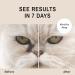 Eye Envy Cat Tear Stain Remover Starter Kit with ProPowder Brush | Solution for Stain Removal and Prevention | Includes Applicator Pads and Small Brush | Lasts 30-45 Days - Buy Online on GoSupps.com