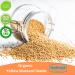 Organic Yellow Mustard Seeds 100g | Certified Organic by Fenbrook Organic - Buy Online on GoSupps.com